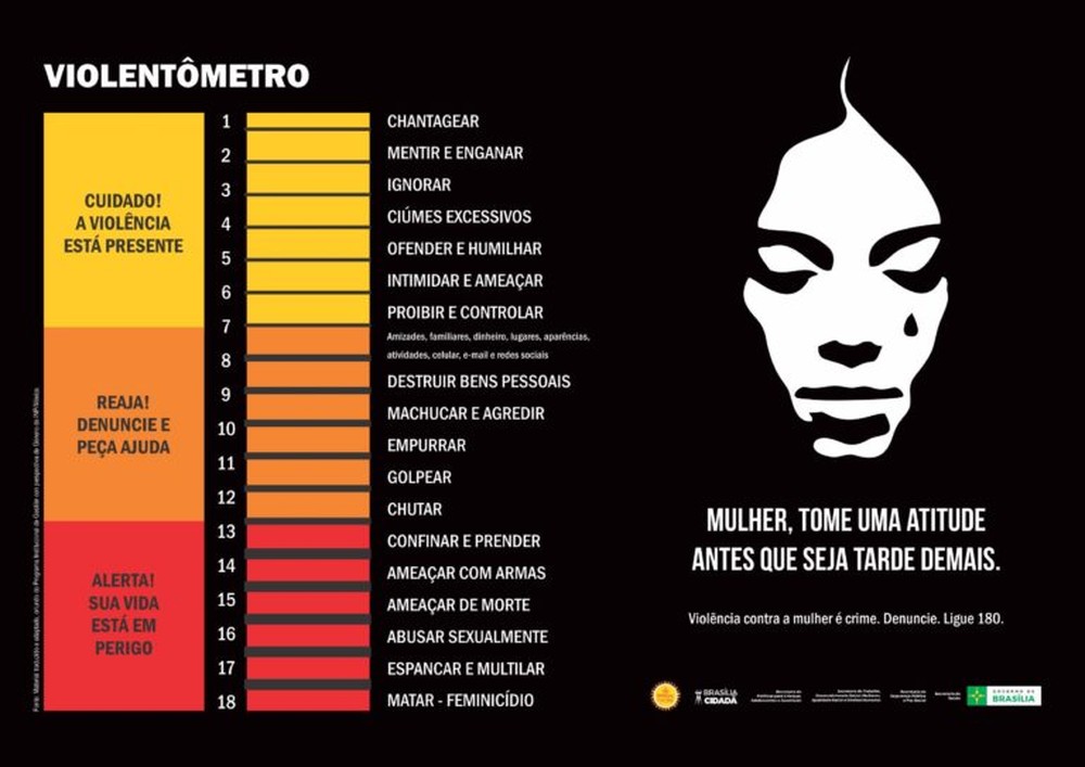 Sistema Único de Saúde (SUS) às vítimas de violência doméstica e familiar 