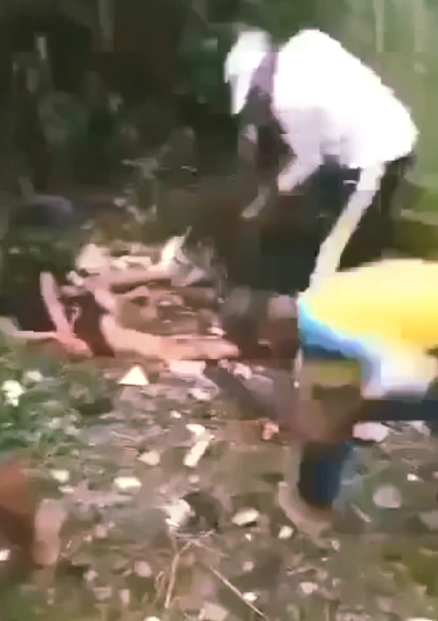 Jovem é agredida a pauladas em matagal após ser acusada de traição por grupo criminoso - tribunal do crime.