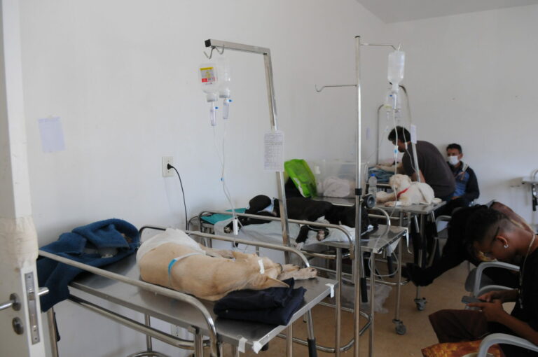 Hospital Veterinário