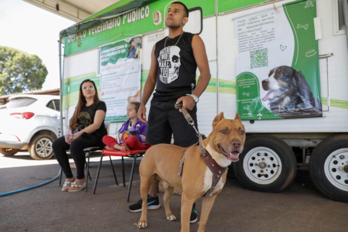 Estamos Incentivando a Criação do SUS Veterinário?