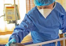 Demografia e Mercado de Trabalho em Enfermagem no Brasil