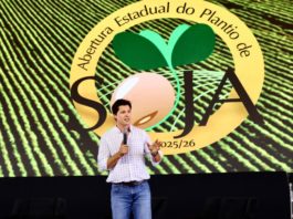 Governo de Goiás: 39,3% das intenções de voto para Daniel Vilela (MDB) e Marconi Perillo (PSDB) com 24,4%