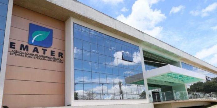 Centro de Excelência em Saúde Única do Brasil