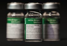 São Paulo, Minas Gerais, Paraná, Goiás e Rio Grande do Sul serão as primeiras cidades a receber a nova vacina nacional contra a dengue