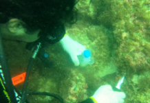 Caravana CNI–Sebrae percorre o país e expõe desafios e oportunidades para a inovação brasileira