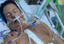 “Ninguém nos disse que um tratamento dentário é a maneira mais fácil de contrair uma infecção no coração.” tratamento dentário é a maneira mais fácil de contrair uma infecção no coração