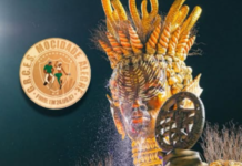 A Mocidade Alegre é a campeã do carnaval de São Paulo