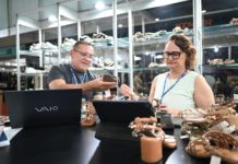 Goiás tem melhor março da série histórica em abertura de empresas