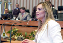 Celina Leão foi a primeira presidente da CLDF a participar de reunião do Conselho de Saúde do DF