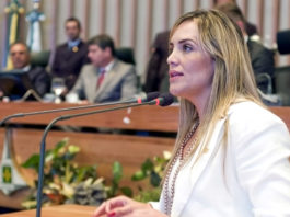 Celina Leão foi a primeira presidente da CLDF a participar de reunião do Conselho de Saúde do DF